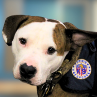 Stanley & Curt/Sarah