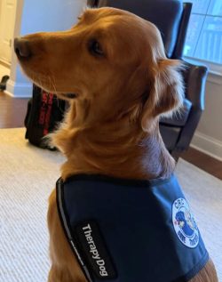 0d75c48c 23a2 4f1d A0f3 D990f5b0087a