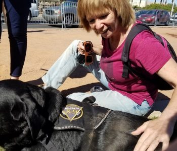 20171009 114648 (Medium)