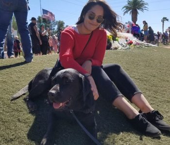 20171009 115039 (Medium)