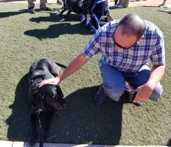 20171009 115838 (Medium)