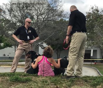 27972187 817781808407124 475555623642324598 N