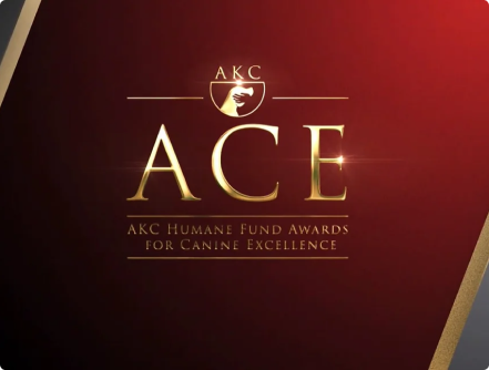 AKC ACE Awards