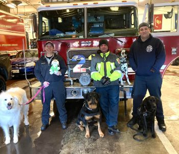 Baltimore FF Dogs