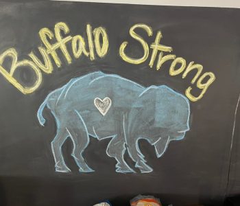 Buffalo 3