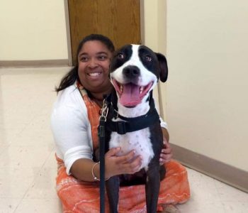 FB IMG 1720324540969