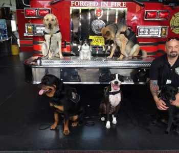 FB IMG 1720324568460