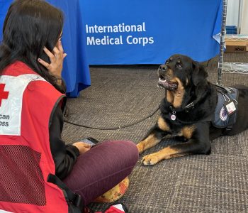 LA Wildfire(4) 02 05 25