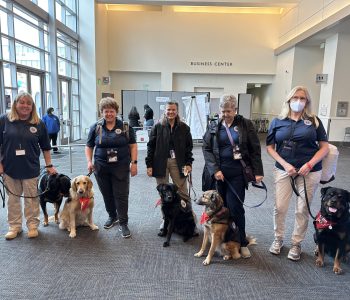 LA Wildfire(6) 02 05 25 8188