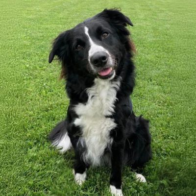 Cc In Memory Lambeau