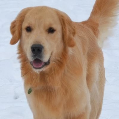 Cc Inmemory Oliver Topaz Upscale 4x