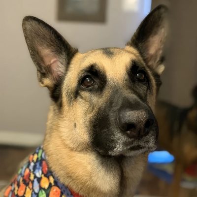 Cc Inmemory Oy Topaz Upscale 2x