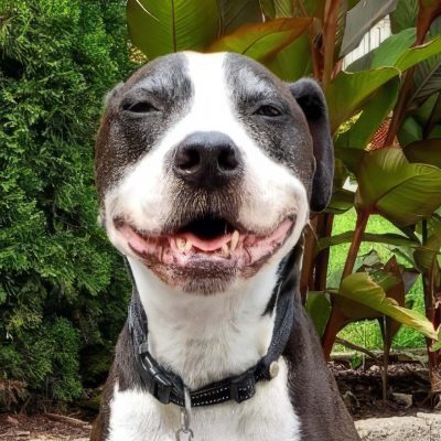 Cc Inmemory Ty Topaz Upscale 4x