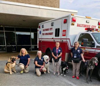 Deployments Baltimore Md 10423